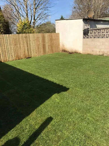 MacDonald Tree And Landscaping photo 4