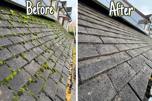 Eco Exterior Cleaning photo 7