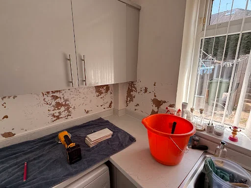 Handyman Dan photo 4
