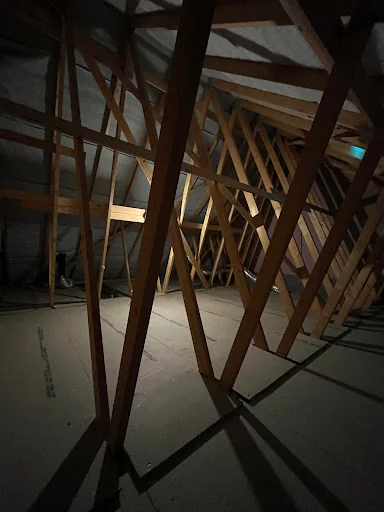 Maldon Loft Services Ltd photo 4