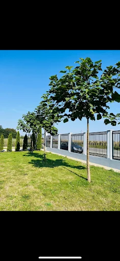 Novvo ltd photo 1