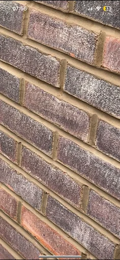 JS Property Solutions photo 4