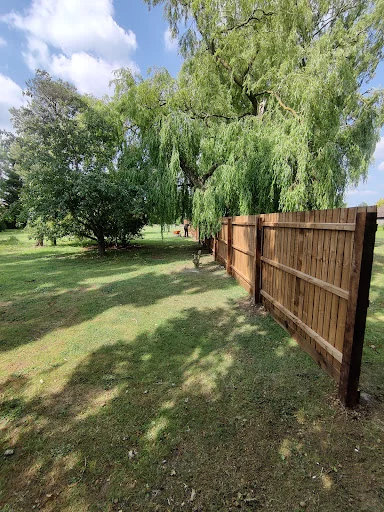 Soil and Stone Landscapes photo 8