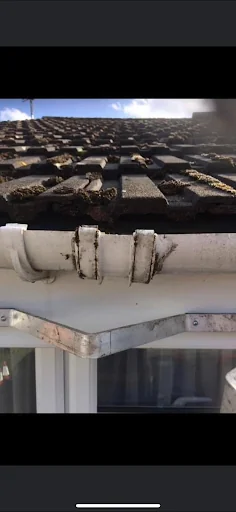 Tuckers Gutters And Pressure Washing Services photo 5