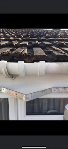 Tuckers Gutters And Pressure Washing Services photo 6