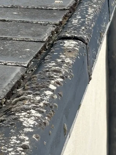 R GALLOWAY ROOFING SERVICES photo 3