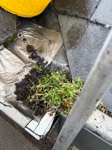 R GALLOWAY ROOFING SERVICES photo 5