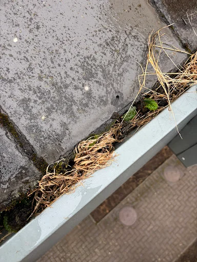 R GALLOWAY ROOFING SERVICES photo 6