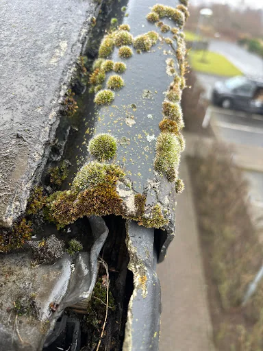 R GALLOWAY ROOFING SERVICES photo 7