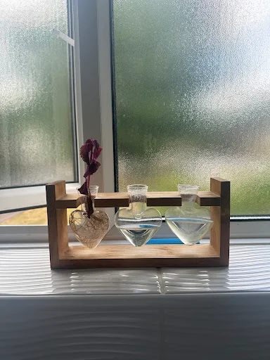 Shine &amp; go cleaning LTD photo 6