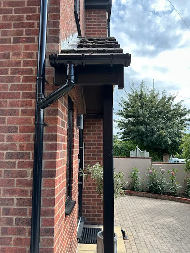 Southern Fascias photo 7