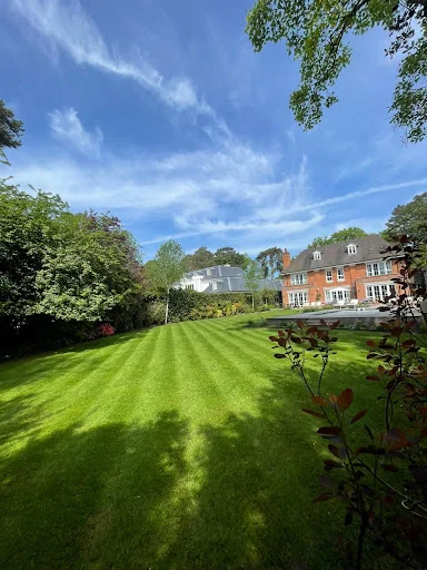 Delightful Gardens photo 3