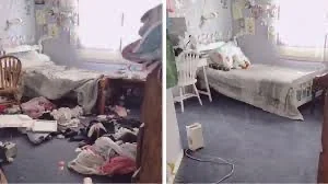 Zinny maids Cleaning services photo 2