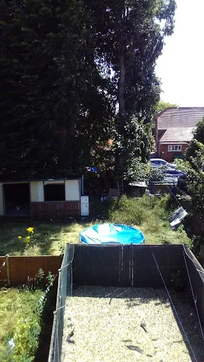 Psb Gardening And Maintenance photo 1