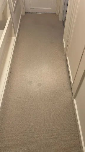 Citywide Carpet Cleaning photo 5