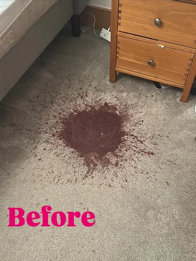 Citywide Carpet Cleaning photo 7