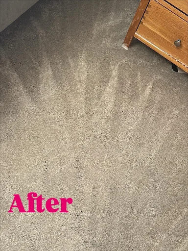 Citywide Carpet Cleaning photo 8