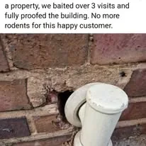 PRC Facilities and Pest Control Ltd photo 4