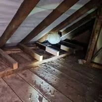 PRC Facilities and Pest Control Ltd photo 5