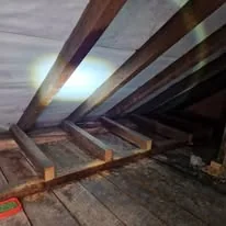 PRC Facilities and Pest Control Ltd photo 6