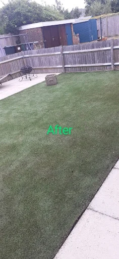 Woods clean slate photo 2