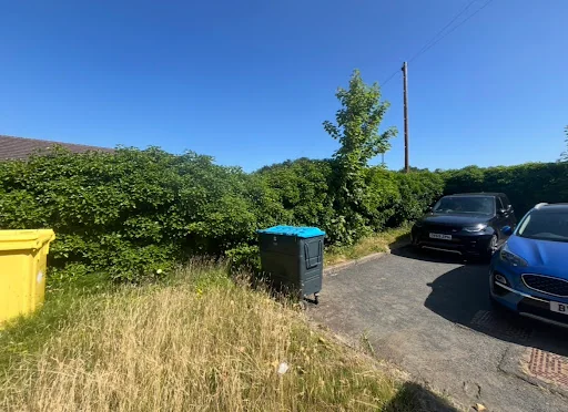 Evergreen Garden &amp; Tree Services photo 8