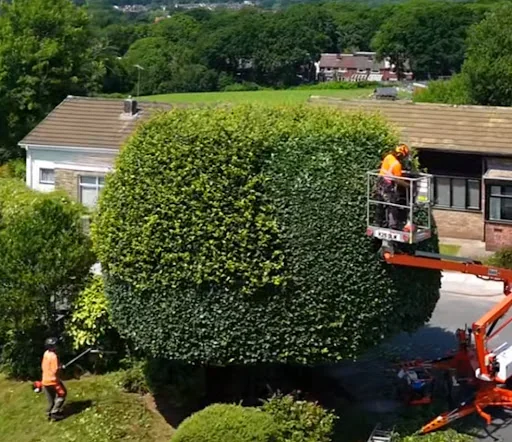 SMARTCARE PROPERTY MAINTENANCE LTD photo 1