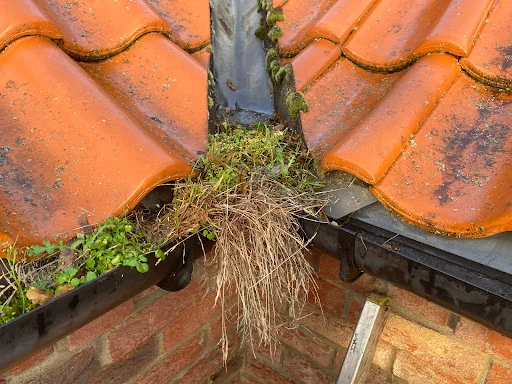 D L Guttering Services photo 7
