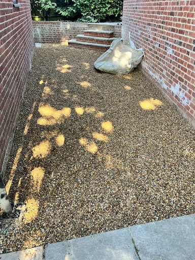 Bens General Gardening and Tree Surgery photo 6