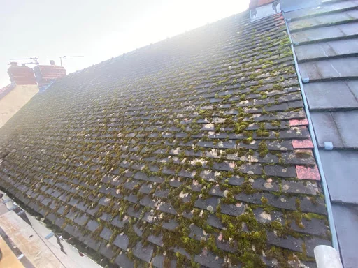 Roofcraft Roofing Services Limited photo 8