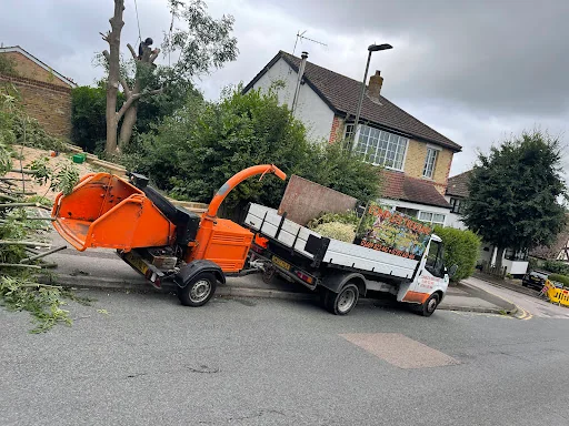Complete Tree Care photo 1