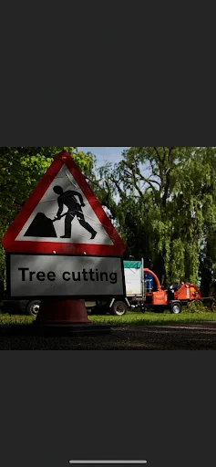 Complete Tree Care photo 6