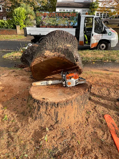 Complete Tree Care photo 7