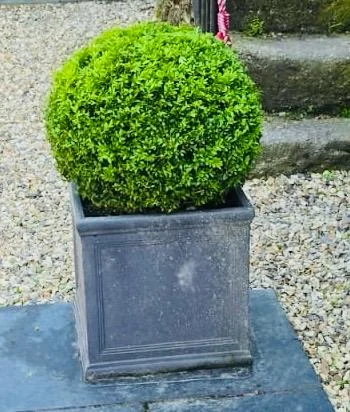 A bud and beyond landscaping photo 4