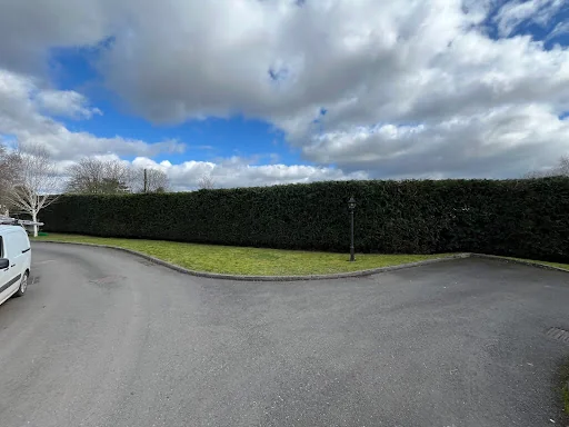 BLS Ground &amp; Garden Maintenance photo 1