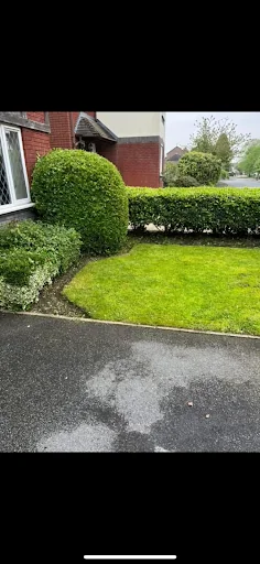 BLS Ground &amp; Garden Maintenance photo 3