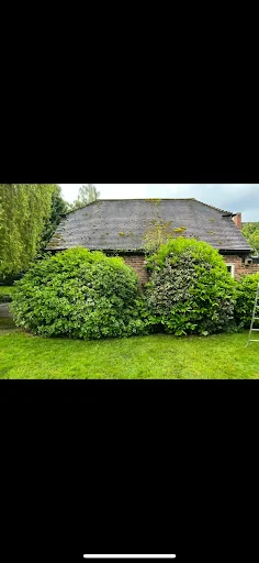 BLS Ground &amp; Garden Maintenance photo 5