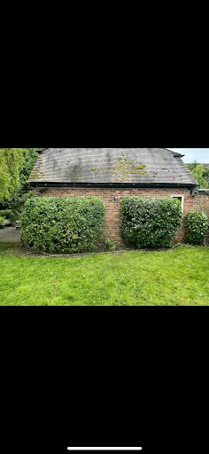 BLS Ground &amp; Garden Maintenance photo 6