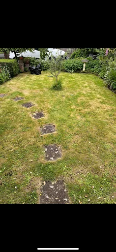 BLS Ground &amp; Garden Maintenance photo 7