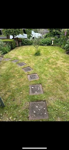 BLS Ground &amp; Garden Maintenance photo 8