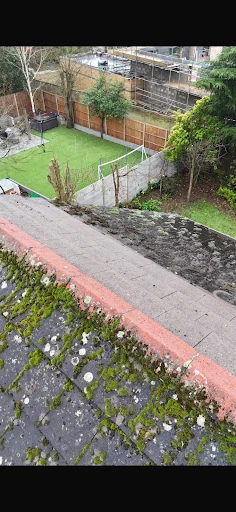 57 Roof Cleaning photo 8