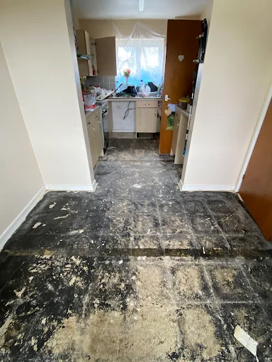 BLT Carpets photo 4