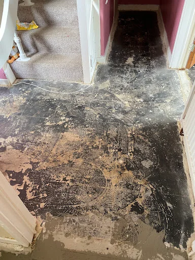 BLT Carpets photo 8