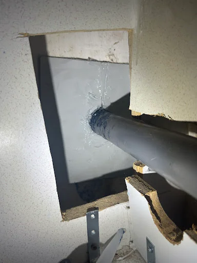 Rat Hammer Pest Control photo 2