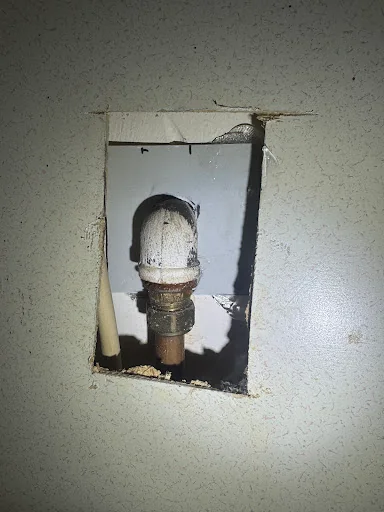 Rat Hammer Pest Control photo 3