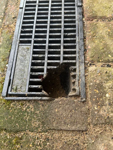 Rat Hammer Pest Control photo 7