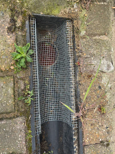 Rat Hammer Pest Control photo 8