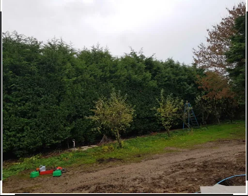 Davis And Sons Contractors photo 3