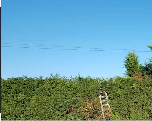 Davis And Sons Contractors photo 4