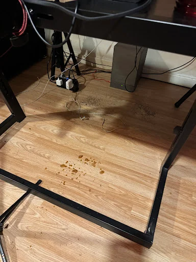 Platinum Cleaning Services photo 1